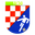 Home team logo