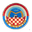 Home team logo