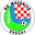 Home team logo