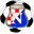 Home team logo