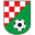 Home team logo