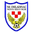 Home team logo