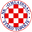Home team logo