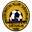 Home team logo