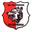 Home team logo