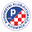 Home team logo