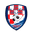 Home team logo