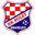 Home team logo