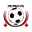 Home team logo