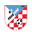 Home team logo