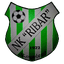 НК Рибар Копачево logo