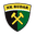 Home team logo