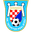 Home team logo