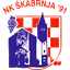 НК Шкабрня 91 logo