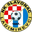 Home team logo