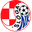 Home team logo