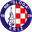 Home team logo