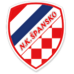 Н. К. Шпанско logo