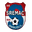 Home team logo