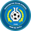 Нк Страза logo