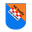 Home team logo