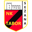 Home Team logo