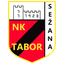 Нк Табор Сежана logo