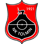 Н. К. Толмин logo