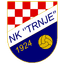 teamLogo