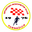 Home team logo