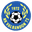 Home team logo