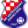 Home team logo