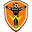 Home team logo