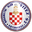 Home team logo