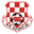 Home team logo
