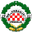 Home team logo