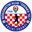Home team logo