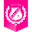 Home team logo