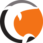 Норрчёпинг Дельфины logo