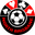 Home team logo