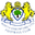 Home team logo