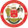Home team logo