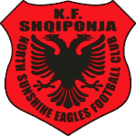 Северное Сияние Иглз logo