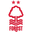 Home team logo