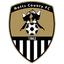 teamLogo