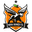 Home team logo