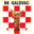 Home team logo