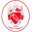 Home team logo