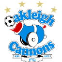 Home Team logo