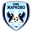 Home team logo